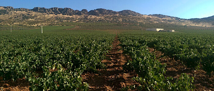 Exterior Bodegas La Solana