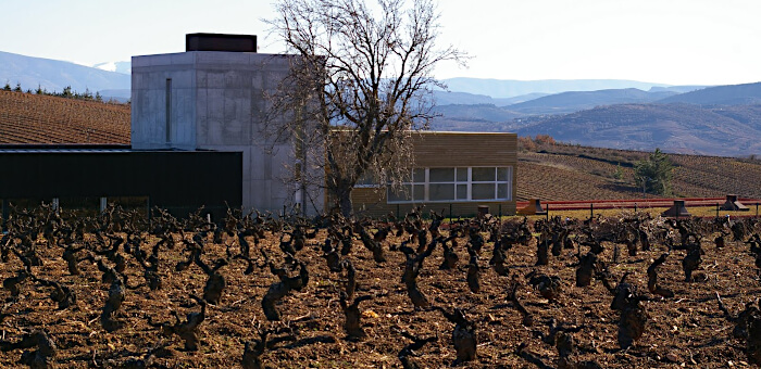 Bodegas Losada