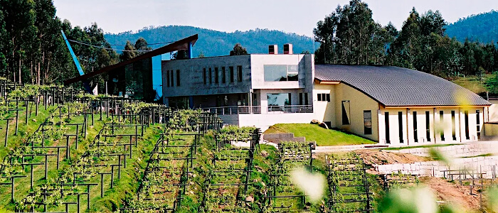 Edificio Bodegas Mar de Frades