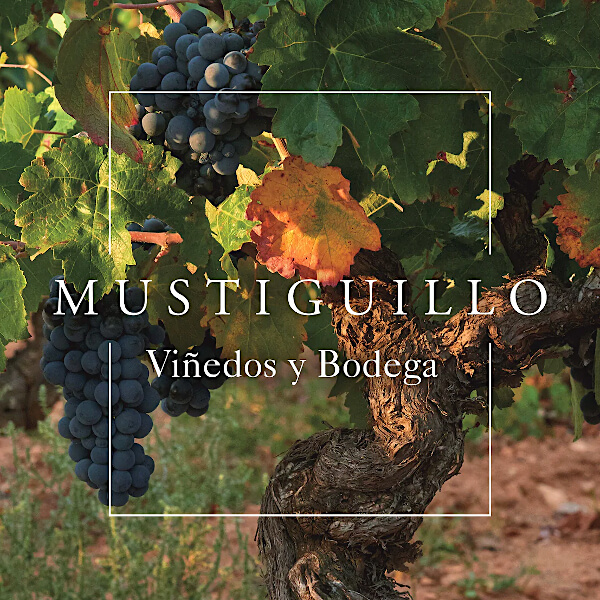 Mustiguillo Viñedos y Bodega