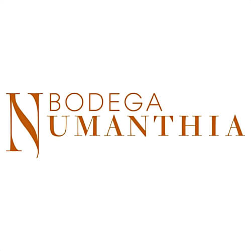 Bodega Numanthia