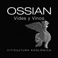 Ossian Vides y Vinos