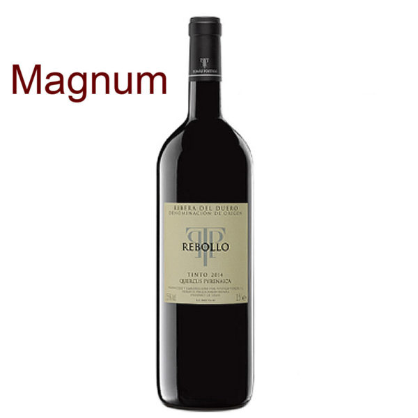 Comprar Tomás Postigo REBOLLO Magnum