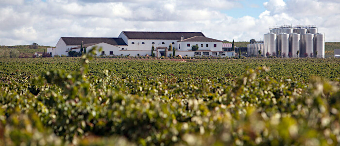 Exterior Bodegas Venta del Quijote