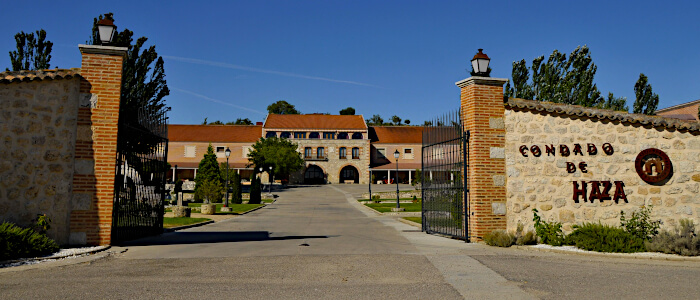 Bodegas Condado de Haza