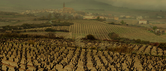 Bodegas Rosario Vera