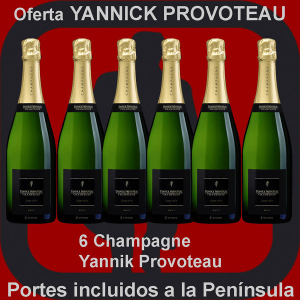 Comprar YANNIACK PROVOTEAU Oferta