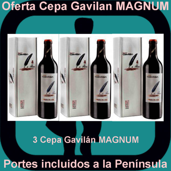 Comprar Viña Pedrosa Cepa Gavilan MAGNUM Oferta