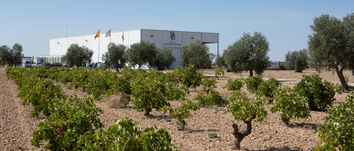 Bodegas Más que Vinos (exterior)